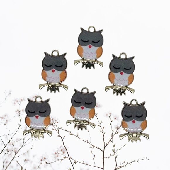 Custom Variety Pack Jewelry - 6pcs Beads for Jewelry Making Orange Grey Enamel Owl Charms #18326